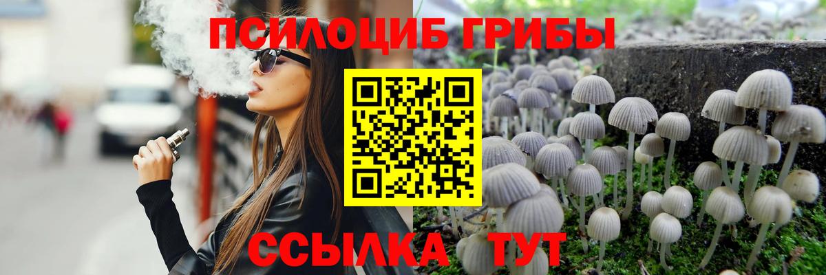 Галлюциногенные грибы Psilocybine cubensis  Вход с VPN  Новороссийск 